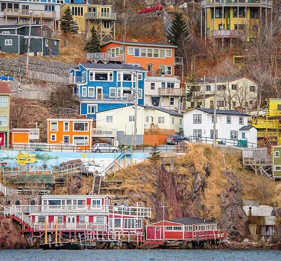 Newfoundland PNP